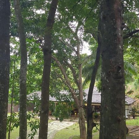 Villa D55 แคนดี้ ภายนอก รูปภาพ