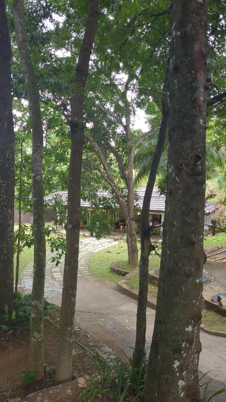 Villa D55 แคนดี้ ภายนอก รูปภาพ