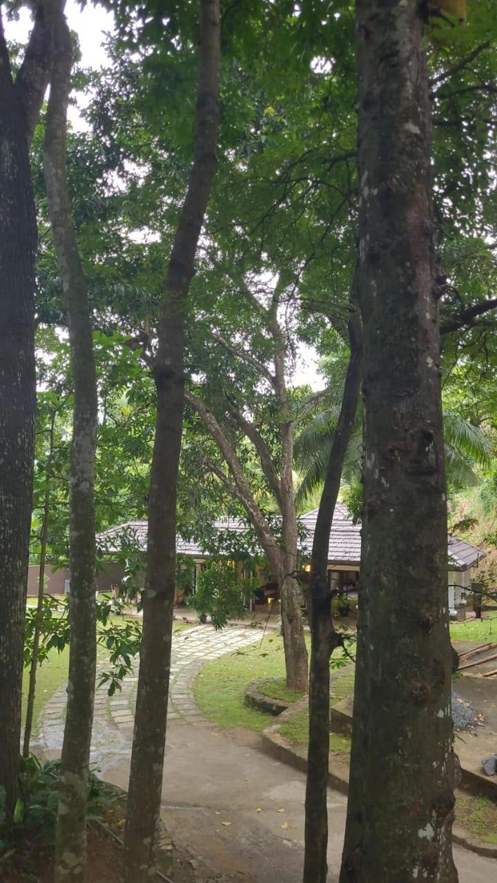 Villa D55 แคนดี้ ภายนอก รูปภาพ