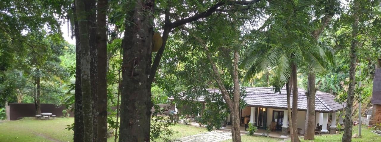 Villa D55 แคนดี้ ภายนอก รูปภาพ